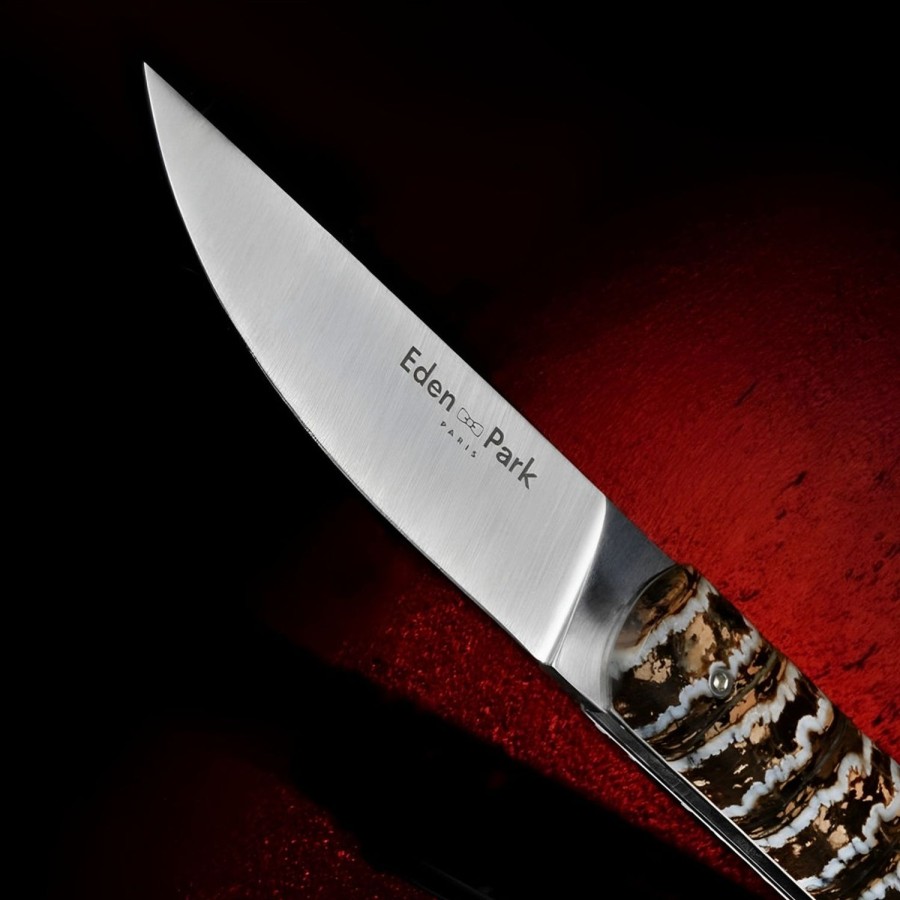 Eden Park Pocket Knife With Beige Mammoth Molar Handle | Art Of The Table