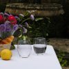 Eden Park Water Glass | Art Of The Table